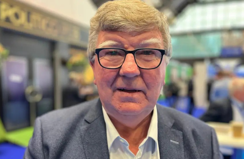 Reform UK a 'threat to the union', say NI Tories